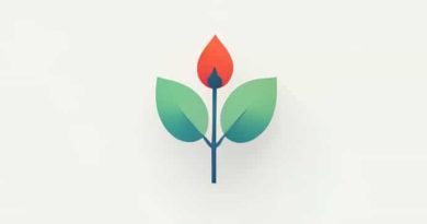 We Are Mindful Rozelle