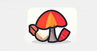 What Are Fungible Goods