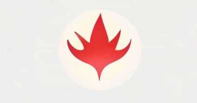 What Causes Atopobium Vaginae