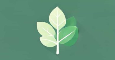 What Color Is Wintergreen