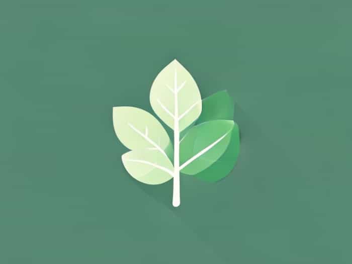 What Color Is Wintergreen