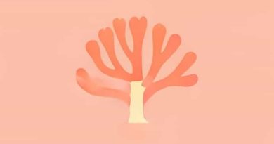 What Colour Is Coral