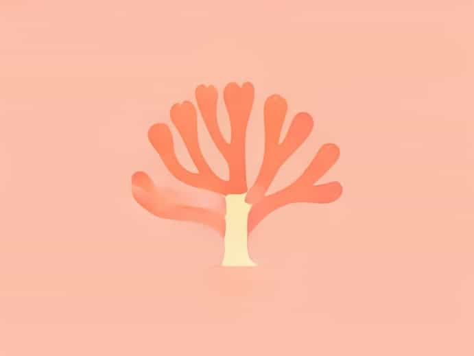 What Colour Is Coral