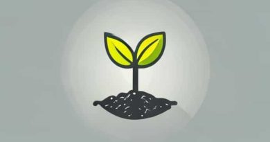 What Does Germination Mean