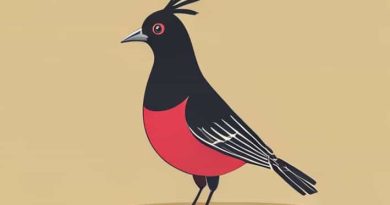 What Is A Popinjay Person