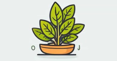 What Is Bsc Horticulture