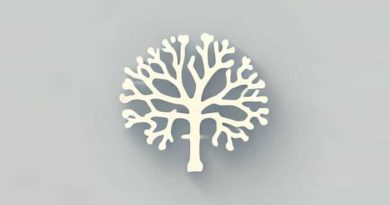 What Is Cortical Bone