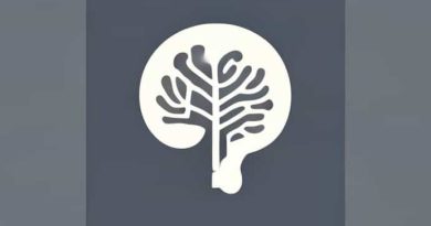 What Is Implicit Memory