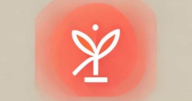 What Is Lear Corporation