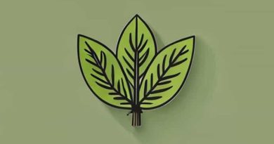 What Is Patchouli Fragrance