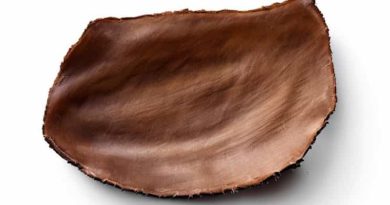 What Is Rawhide Made Of