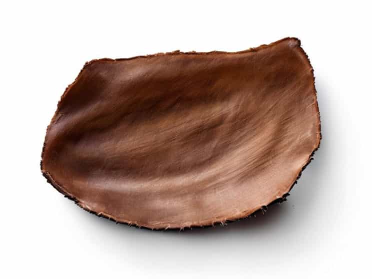 What Is Rawhide Made Of