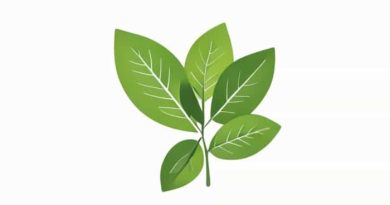 What Is Wintergreen Flavor