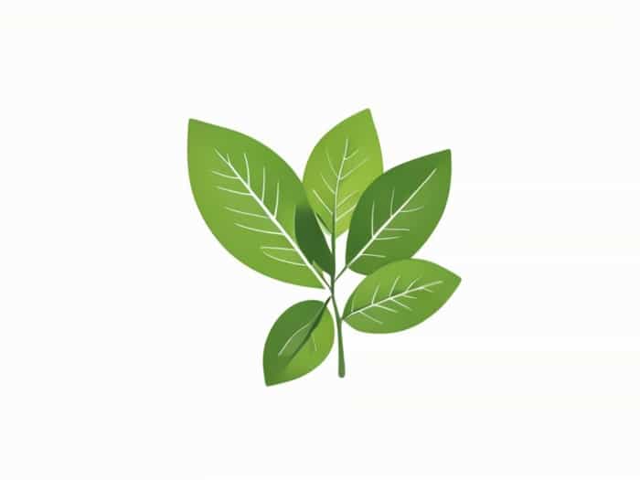 What Is Wintergreen Flavor