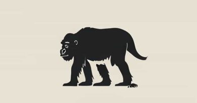 What Year Did Australopithecus Live