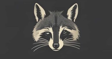 Why Is Coonskin Offensive