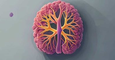 Xanthogranulomatous Pyelonephritis Causative Organism