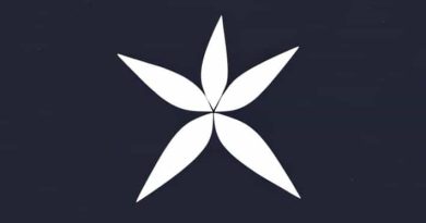 Xcel Energy What Is It