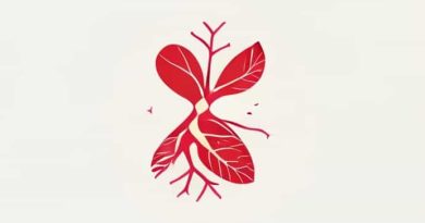 Xylem And Phloem Component