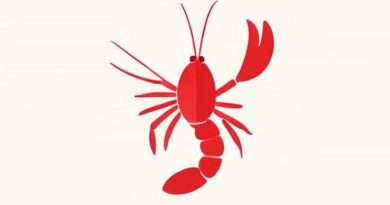 You'Re Fond Of Me Lobster