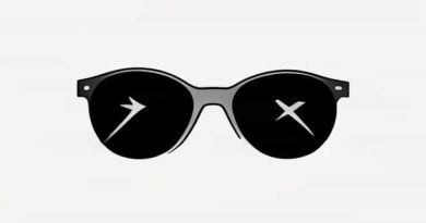 Youtube Oakley And Crusoe