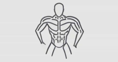 Z Line Muscle Contraction