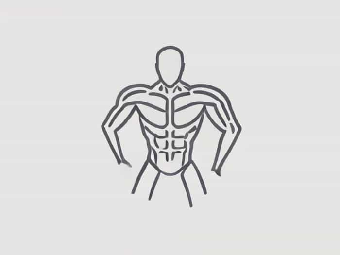 Z Line Muscle Contraction