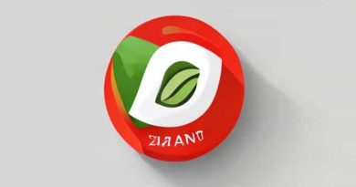 Zomato Year Of Establishment