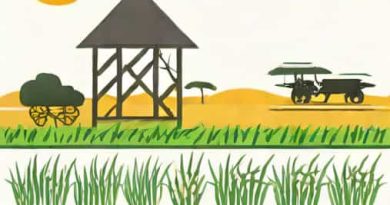 A Southern State Where Rice Is Cultivated