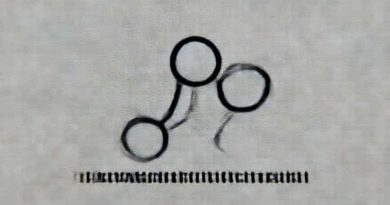 Angiotensin Converting Enzyme Inhibitors