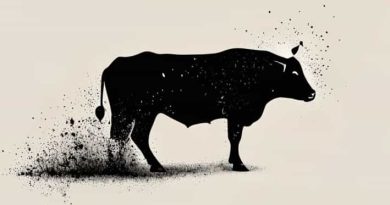 Ashes Of A Heifer Sprinkling The Unclean