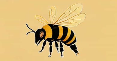 Beeves Grill & Brasserie Atasehir Photos