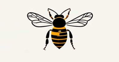 Beeves Grill & Brasserie Manisa Yorumlar