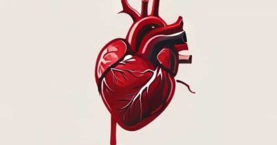 Blood Supply To Heart Musculature Is Via