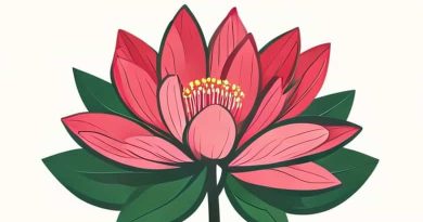 Bloomington Grove & Lillian Court Photos