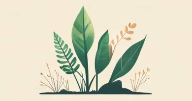 Causes Of Rareness Of Plants And Animals