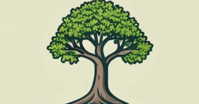 Class 6 The Banyan Tree Question Answer