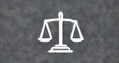 Constitutional Law And Constitutionalism