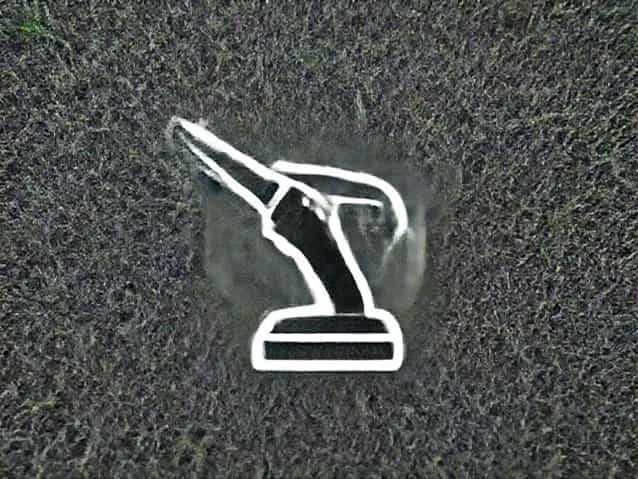 Cordless Grass Shear & Shrubbery Trimmer