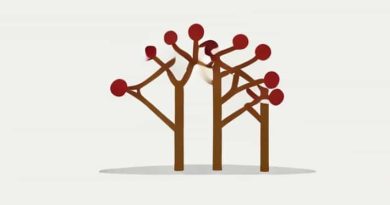 Describe The Structure Of A Villus Igcse