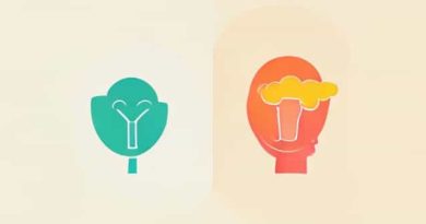 Difference Between Elc And Kindergarten