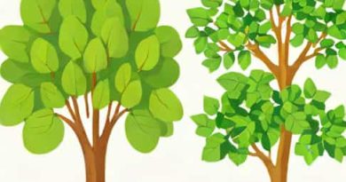 Difference Between Peepal And Banyan Tree