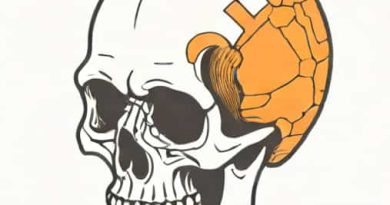 Division Of The Cranium The Rearmost Part