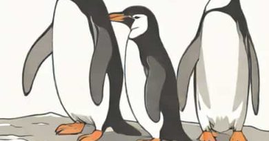 Do Chinstrap Penguins Live In Antarctica