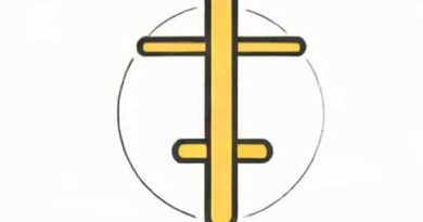 Does Height Correlate With Penile Length