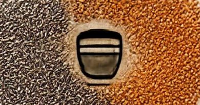 Fenugreek And Carom Seeds Water Benefits