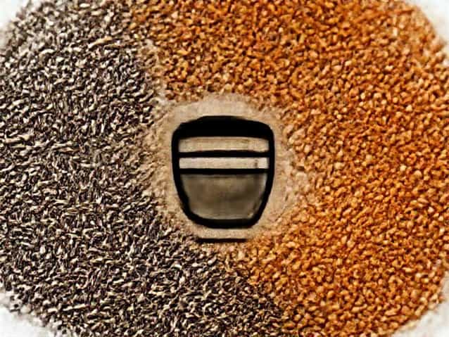 Fenugreek And Carom Seeds Water Benefits