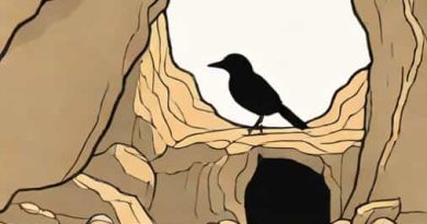 Find The Cave Where Richard Jackdaw Died