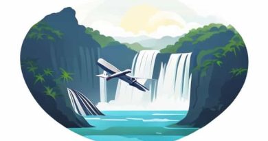 Flight From Iguassu Falls To Buenos Aires