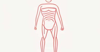 Forms The Lining Of Serous Body Cavities